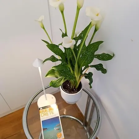 Am Belle Vue Hriszí Aktí Haniá